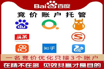 揭秘sem竞价代运营的成功要素及案例